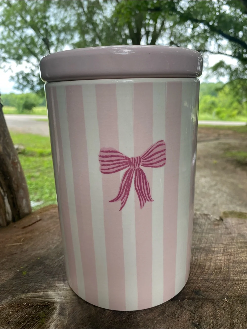 Pink Striped Ceramic Canister with Bow Accent - Home Accents - Picture 1 of 5